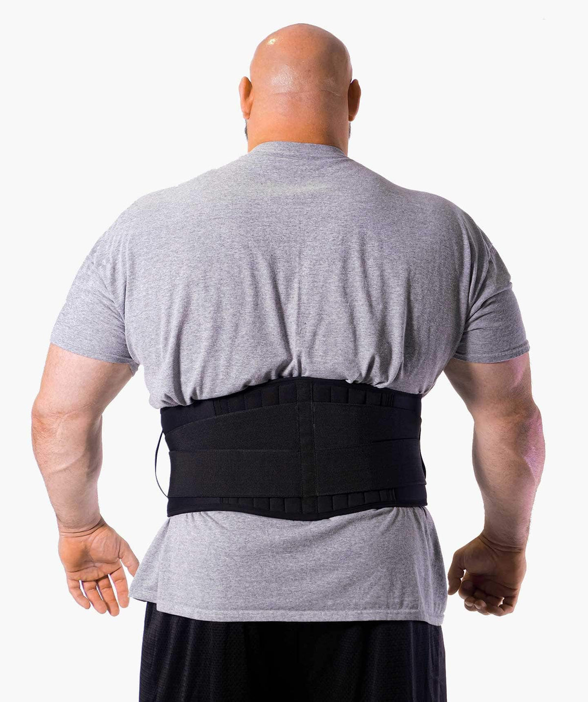 Evolution Athletics Support Belt